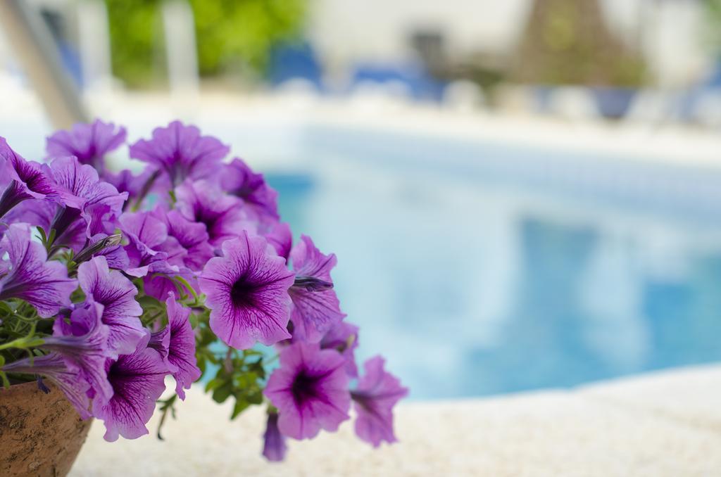 La Crisalida Retreats Appartement El Albir Buitenkant foto